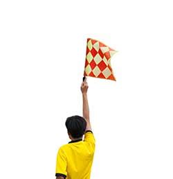 linesmao|Linesman Definition & Meaning .